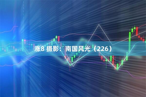 涨8 摄影：南国风光（226）