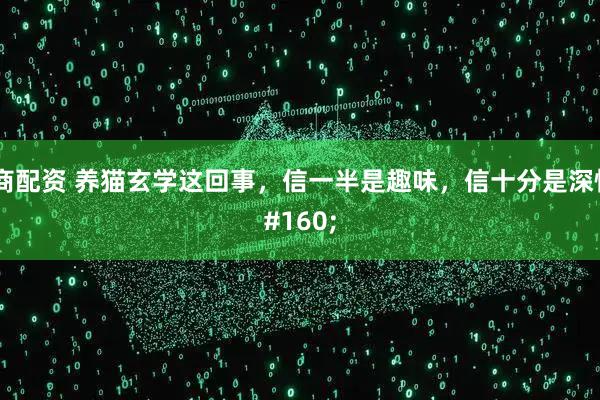 浙商配资 养猫玄学这回事，信一半是趣味，信十分是深情 